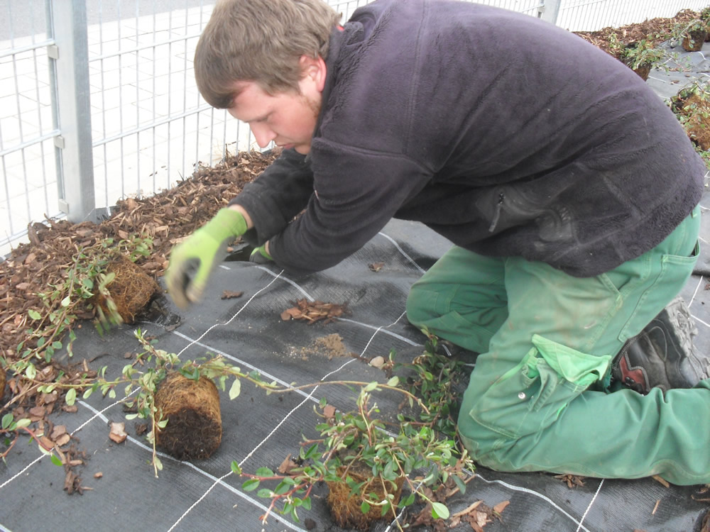 sauer-stiftung 2_m.jpg